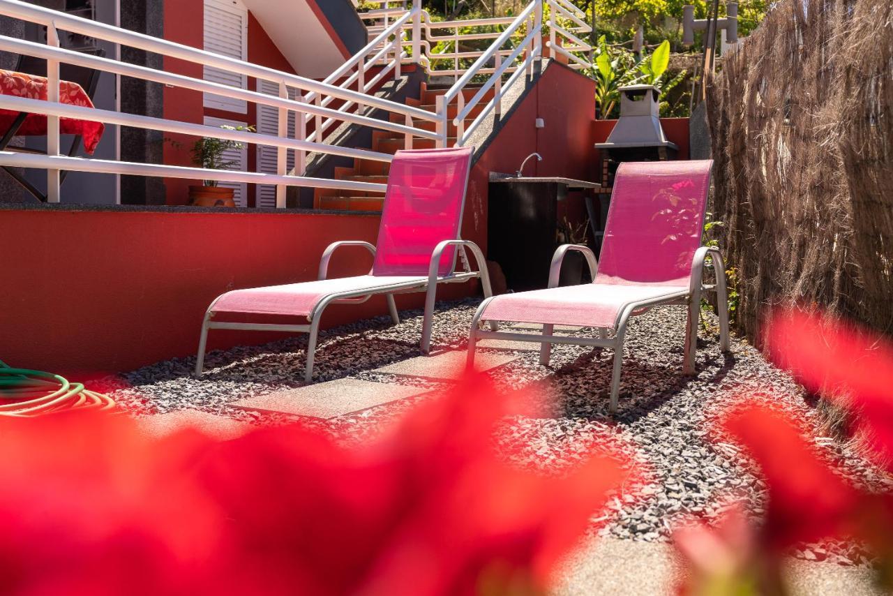 Casa Das Camelias 阿科达卡列塔 外观 照片